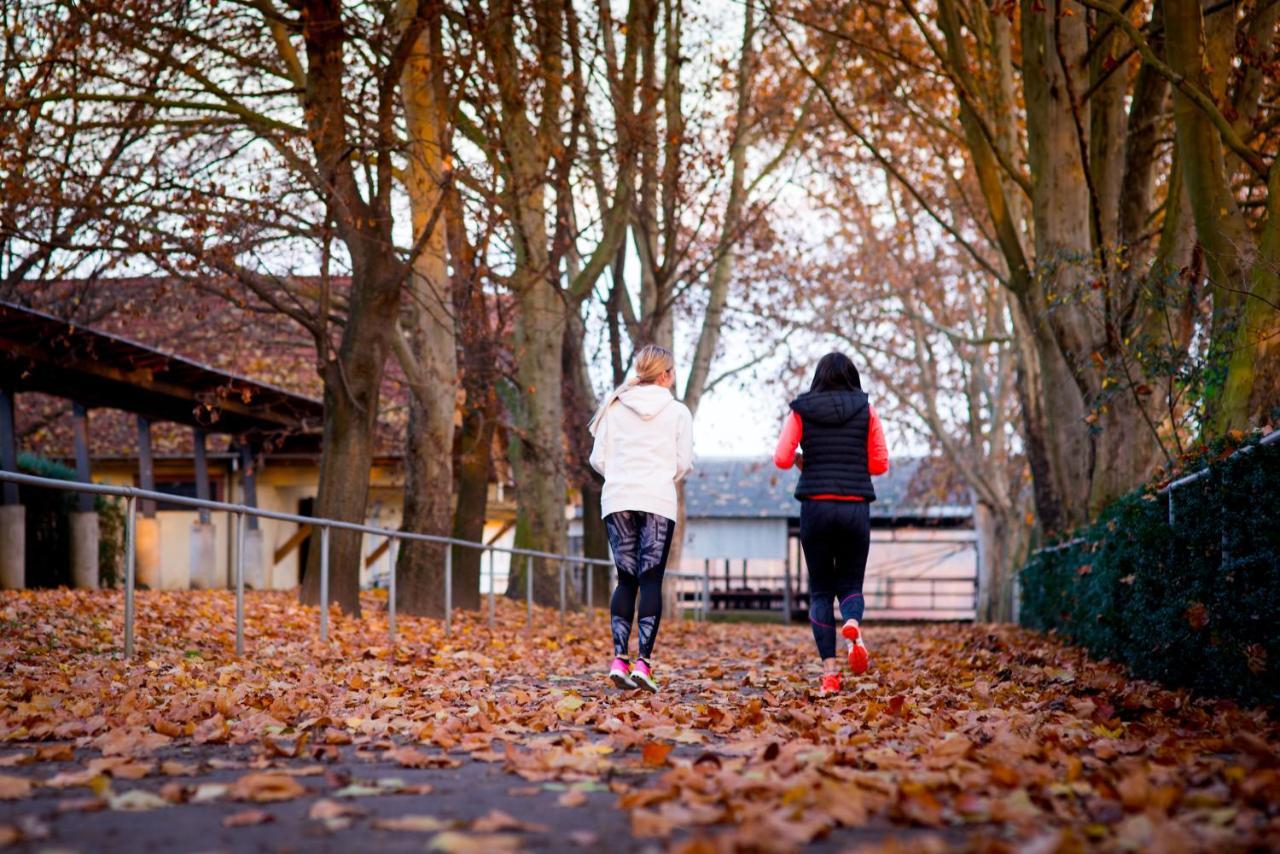 Hotel Pagony Wellness Nyíregyháza 외부 사진